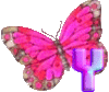 GIF animado (30618) Letra y mariposa rosa