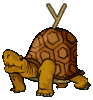 GIF animado (32213) Letra y tortuga