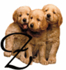 GIF animado (31641) Letra z cachorros