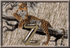 GIF animado (30312) Letra z leopardo