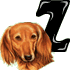 GIF animado (31741) Letra z raza perro