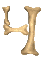 GIF animado (38266) Numero huesos