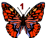 GIF animado (30510) Numero mariposa