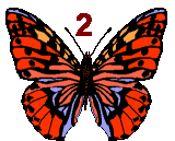 GIF animado (30511) Numero mariposa