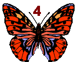 GIF animado (30513) Numero mariposa
