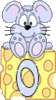 GIF animado (32151) Numero raton queso