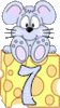 GIF animado (32158) Numero raton queso