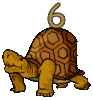 GIF animado (32221) Numero tortuga