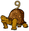 Imagen GIF de Numero tortuga animado