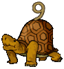 GIF animado (32224) Numero tortuga