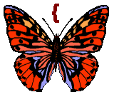GIF animado (30519) Signo abre parentesis llave mariposa