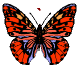 GIF animado (30522) Signo acento grave mariposa