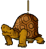 GIF animado (32225) Signo admiracion tortuga