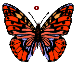 GIF animado (30525) Signo anillo diacritico mariposa