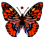 GIF animado (30527) Signo asterisco mariposa