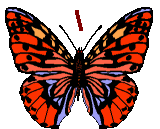 GIF animado (30528) Signo barra derecha mariposa