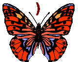 GIF animado (30531) Signo cierra parentesis mariposa