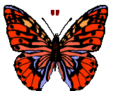 GIF animado (30533) Signo comillas mariposa