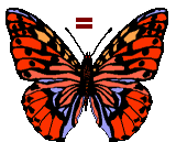 GIF animado (30543) Signo igual mariposa