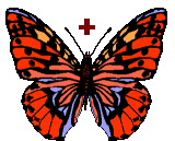 GIF animado (30546) Signo mas mariposa