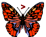 GIF animado (30549) Signo parentesis angular derecho mariposa