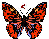 GIF animado (30550) Signo parentesis angular izquierdo mariposa