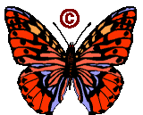 GIF animado (30557) Simbolo copyright mariposa