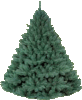 GIF animado (58185) Arbol navidad luces