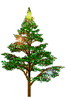 GIF animado (58191) Arbol navidad luces