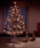 GIF animado (58128) Arbol navidad murcielagos