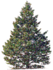 GIF animado (58203) Arbol navidad parpadeando