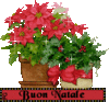 GIF animado (59172) Buon natale