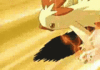 GIF animado (53848) Combusken gancho alto
