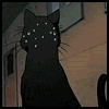 GIF animado (50212) Gato yoruichi