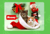 GIF animado (59628) Meowy christmas