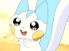 GIF animado (53384) Pachirisu adorable