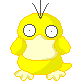 GIF animado (53144) Pokemon psyduck