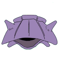 GIF animado (53160) Pokemon shellder