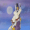 GIF animado (51706) Renamon