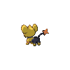 GIF animado (53520) Shinx shiny hembra espalda