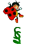 GIF animado (49788) Signo seccion