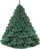 GIF animado (72783) Abeto navidad