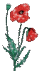GIF animado (72943) Amapolas glitter