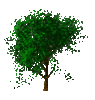 GIF animado (72794) Arbol