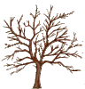 GIF animado (72809) Arbol estaciones