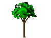 GIF animado (72800) Arbol girando