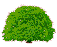GIF animado (72812) Arbol secandose