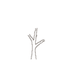 GIF animado (72815) Arbol seco