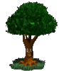 GIF animado (72861) Arbol viviente