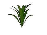 GIF animado (72867) Arbusto